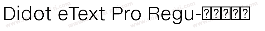 Didot eText Pro Regu字体转换